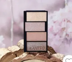 ❤️3点セット❤️KANEBRO カラードシャドウ 06 ケース・チップ付き