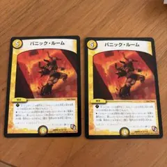 パニックルーム2枚
