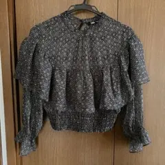 ZARA シースルーフリルブラウス