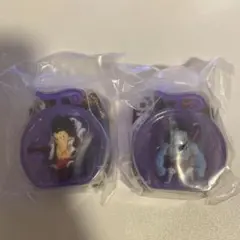 ワンピの実　ミクロ　ブリスターチャーム