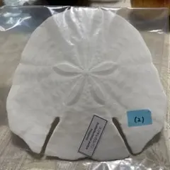 Shin Shin様 リクエスト 2点 まとめ商品