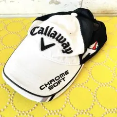 Item thumbnail for item c71f339a-7fca-4725-82bd-fc1ead281997