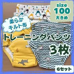 トレーニングパンツ3枚　Gセット　綿　防水　男の子〈柔らかキルト布100大きめ〉
