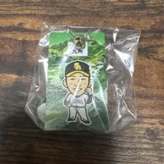 ファイト九州