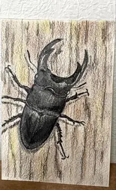 絵画 色鉛筆画 ご確認用です