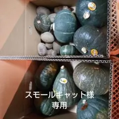 スモールキャット様専用