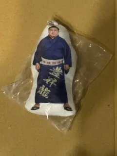 Item thumbnail for item 4247e724-d47e-4580-bafa-fac205366078