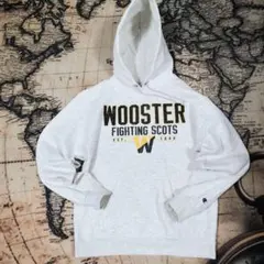 USA輸入 チャンピオン カレッジパーカー L相当