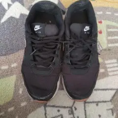 Item thumbnail for item 1f5ec766-ed03-428a-a308-484387b96c4e