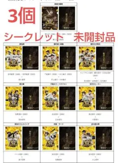 クリアファイル 3個 シークレット 阪神 甲子園 クライマックス限定 新品未開封