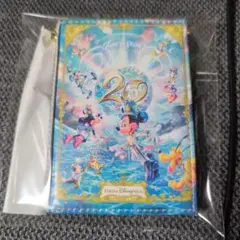 ミッキーマウス パスケース・定期入れセット