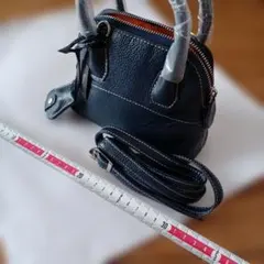 Item thumbnail for item 7d0ae6ce-bce9-483d-827d-ccb5a4718d6c