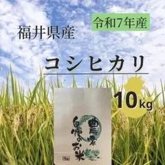 天日干しコシヒカリ （胚芽付7分擦り )10kg 長野県産 令和7年秋 送料込