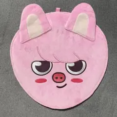 stray kids skzoo うちわケース チャンビン