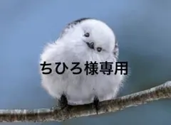 ちひろ様専用 #126