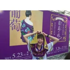 希少　美品　佐藤栞里着用　サザンオールスターズ　Tシャツ　葡萄　Fサイズ