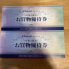 ヤマダ電機　 株主　優待券