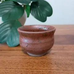 Item thumbnail for item bdf87e5c-45ef-4fe6-9b5a-138466d9bf7c