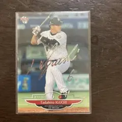 千葉ロッテマリーンズ 井口資仁 プロ野球カード BBM 2013