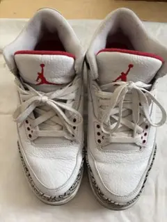 Air Jordan 26.5 お値段ご相談ください