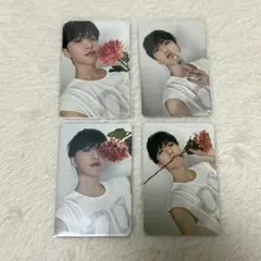 ホシ 17 IS RIGHT HERE トレカ carat盤