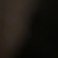 専用