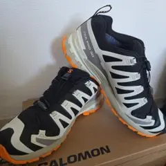 早い者勝ちです【SALOMON】 XA PRO 3D V9 GTX 27.5㎝のサムネイル