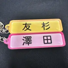 パワプロ　キーホルダー 友杉 澤田