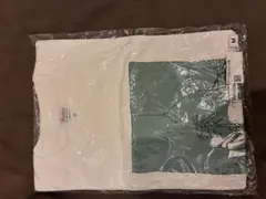 saki studio session Tシャツ M