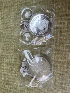 東京ディズニー ドナルドダック キーホルダー