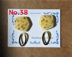 ドライフラワーのレジンピアス・イヤリング(No.38)