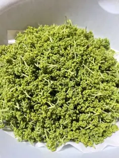 採りたて迅速発送！花山椒 新鮮摘みたて 200g - メルカリ