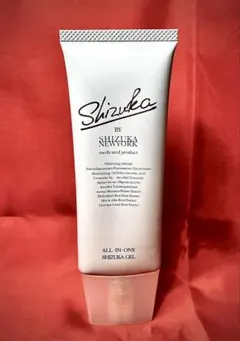 Shizuka ALL-IN-ONE SHIZUKA GEL 60g