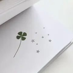 専用ページ⭐︎