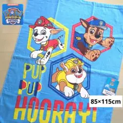 Item thumbnail for item 863c573b-6ddf-4c39-a307-d100f0dbe26d