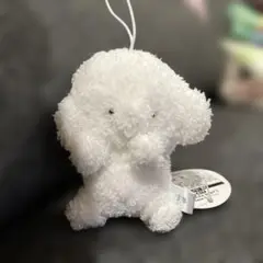 じょせまる