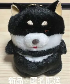 Item thumbnail for item 7e1a0365-614a-4aa0-b6ab-03a4c8847642