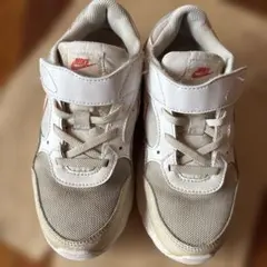 NIKE エアマックス キッズ 21cm