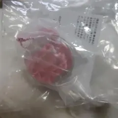 CANMAKE ミニチュアコレクション2 チーク