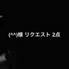 (^^)様 リクエスト 2点 まとめ商品