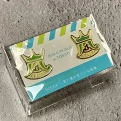 嵐 ARASHI 2010ライブグッズ ピンバッジ2個セット