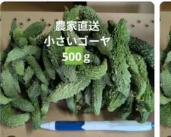 小さいゴーヤ　ネコポス　箱込み約500gのサムネイル