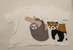 Tシャツ セット