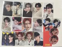 リッキー トレカ まとめ売り zb1