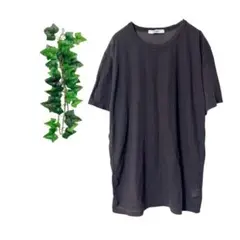 [F] ジャーナルスタンダードレリューム Tシャツ シアー 薄手 レイヤード 夏のサムネイル