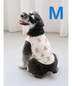 gelato pique 「CAT＆DOG」ベア柄プルオーバー（M）オフホワイト