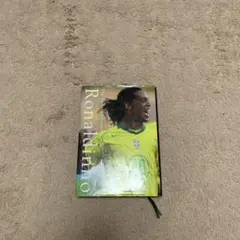 Item thumbnail for item a1ae5c90-87e0-42bf-80de-869b88d5747f