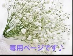 もぬ様専用ページです♡