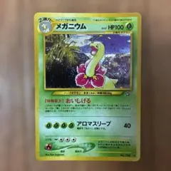 旧裏 メガニウム