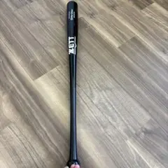 Item thumbnail for item 957876df-625a-4de5-91ab-ec758e3cd5d6